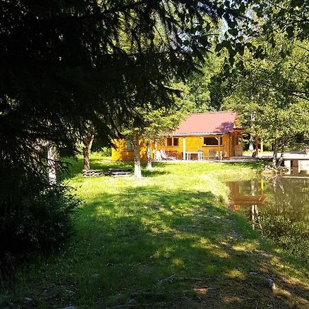 Insolite Chalet De Peche Serenite - Bien Etre Ban-sur-Meurthe-Clefcy Bagian luar foto