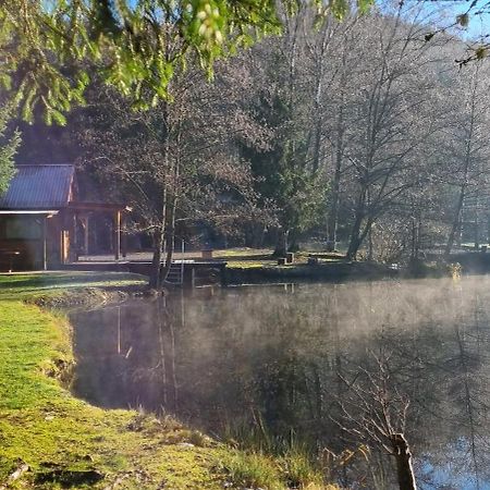 Insolite Chalet De Peche Serenite - Bien Etre Ban-sur-Meurthe-Clefcy Bagian luar foto