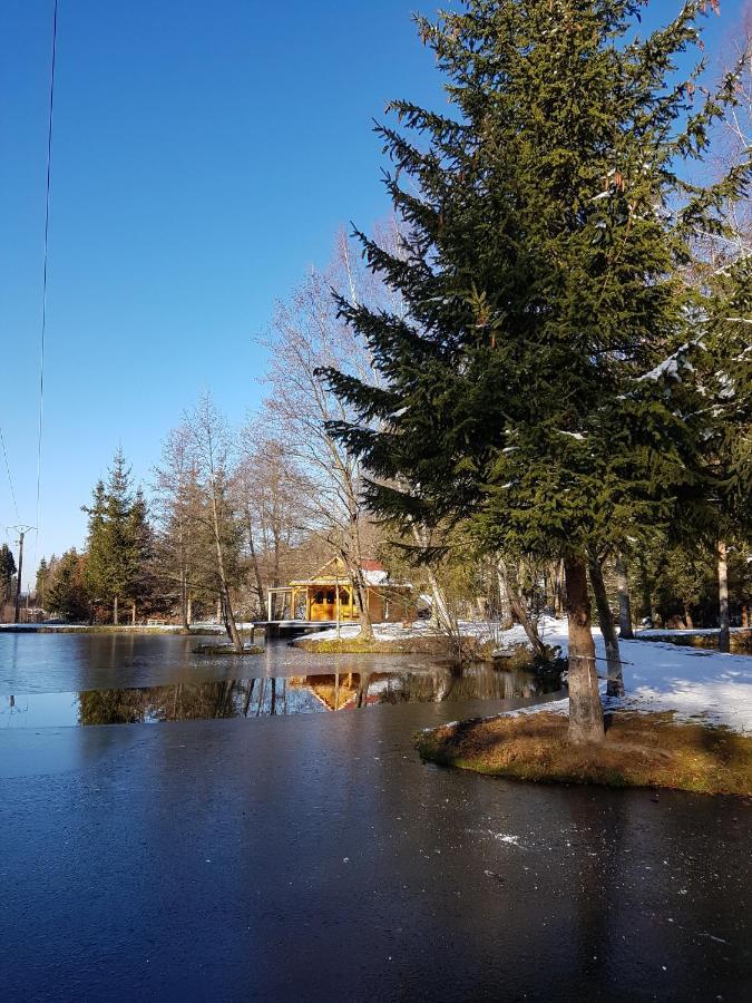 Insolite Chalet De Peche Serenite - Bien Etre Ban-sur-Meurthe-Clefcy Bagian luar foto