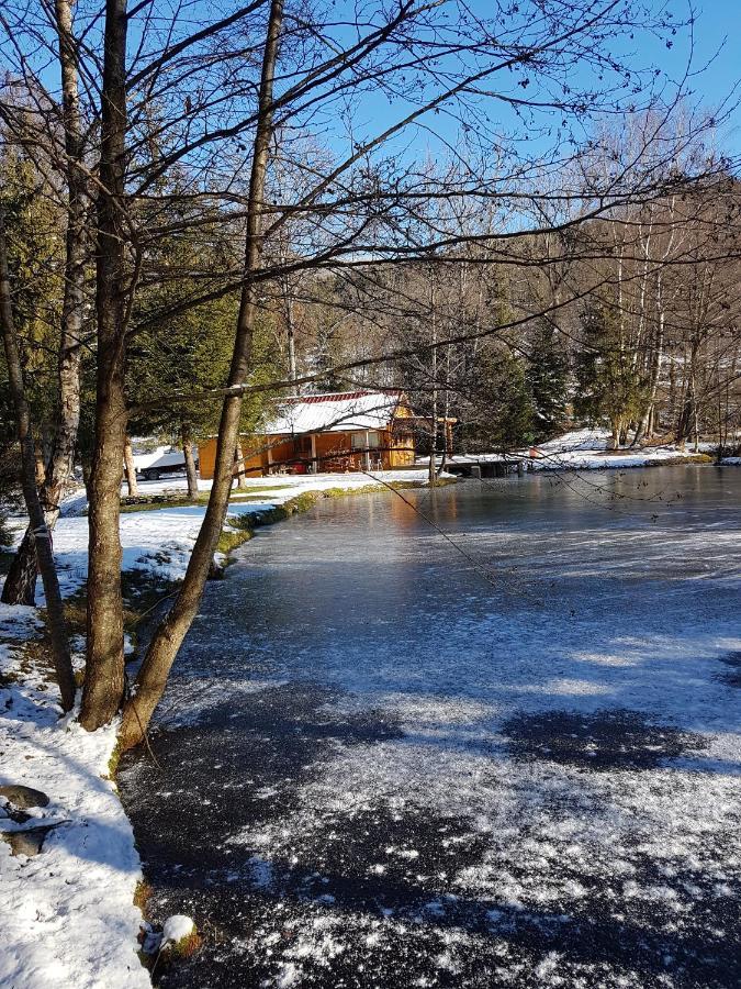 Insolite Chalet De Peche Serenite - Bien Etre Ban-sur-Meurthe-Clefcy Bagian luar foto