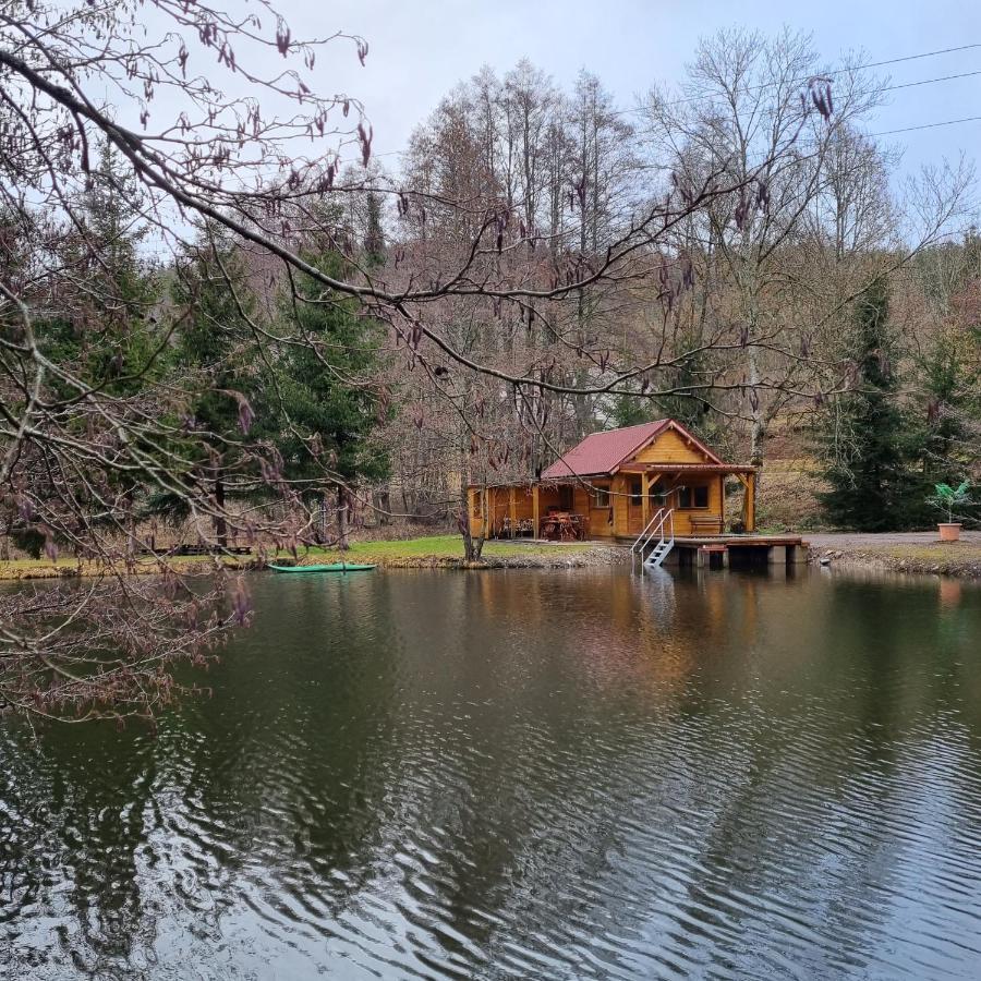 Insolite Chalet De Peche Serenite - Bien Etre Ban-sur-Meurthe-Clefcy Bagian luar foto