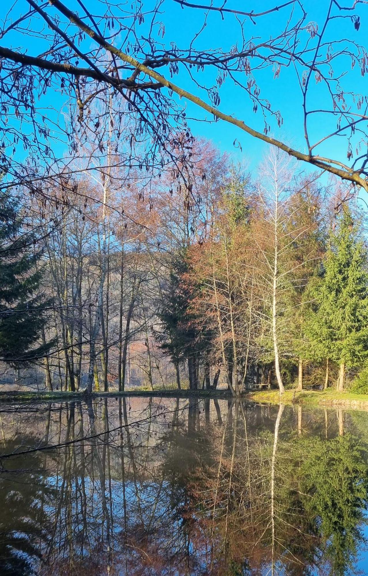 Insolite Chalet De Peche Serenite - Bien Etre Ban-sur-Meurthe-Clefcy Bagian luar foto